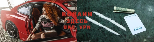 гидра Белоозёрский