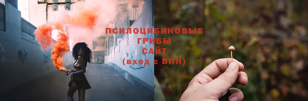 гидра Белоозёрский