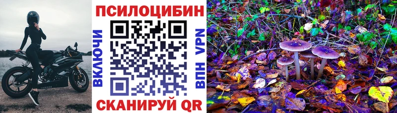 Галлюциногенные грибы GOLDEN TEACHER  ссылка на мегу маркетплейс  Верещагино 